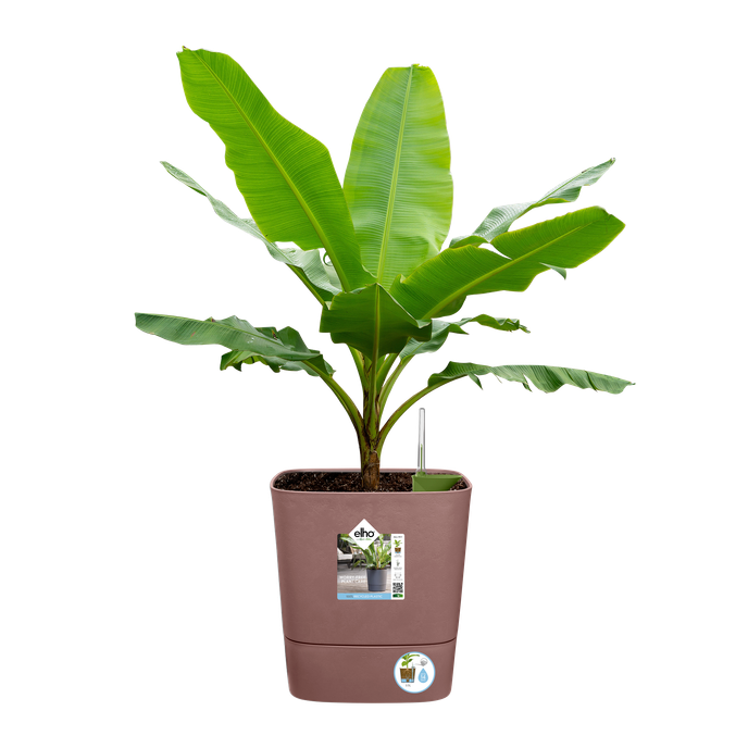 greensense aqua care carré 30cm brun argile